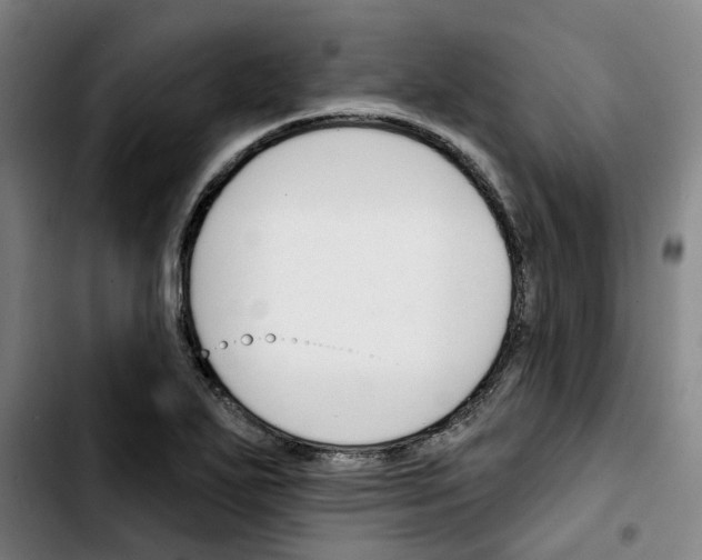X0000103421271200810241026