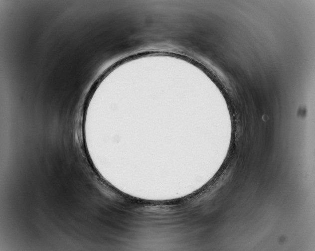 X0000103421272200810241026