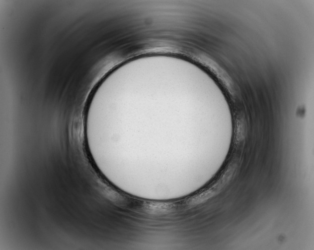 X0000103421274200810241026