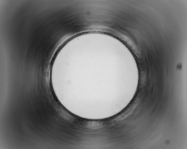X0000103421275200810241026
