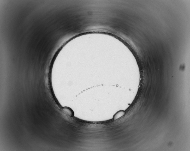 X0000103421277200810241026