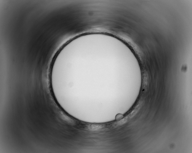 X0000103421278200810241026
