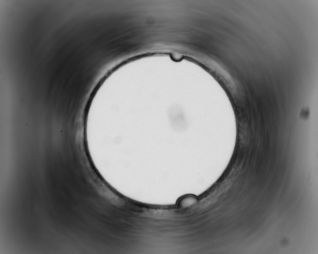 X0000103421280200810241026