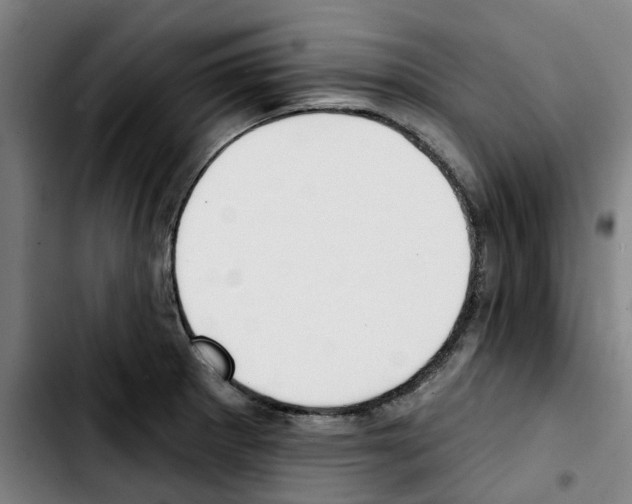 X0000103421281200810241026