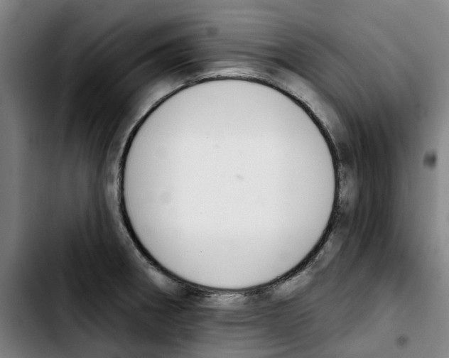 X0000103421282200810241025