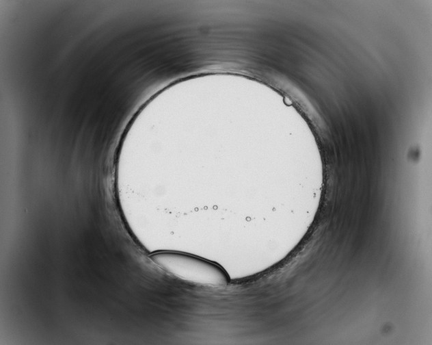 X0000103421284200810241025
