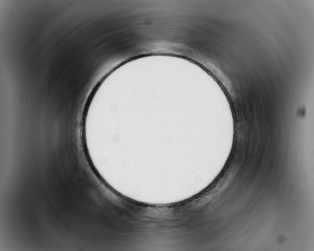 X0000103421285200810241025