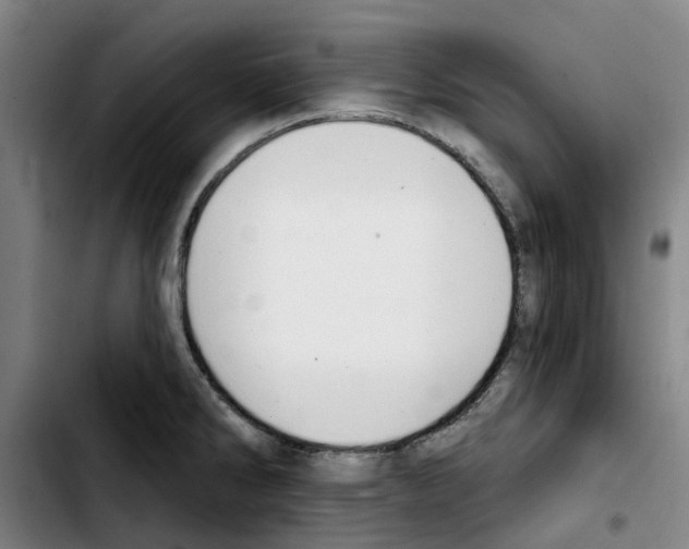 X0000103421286200810241025
