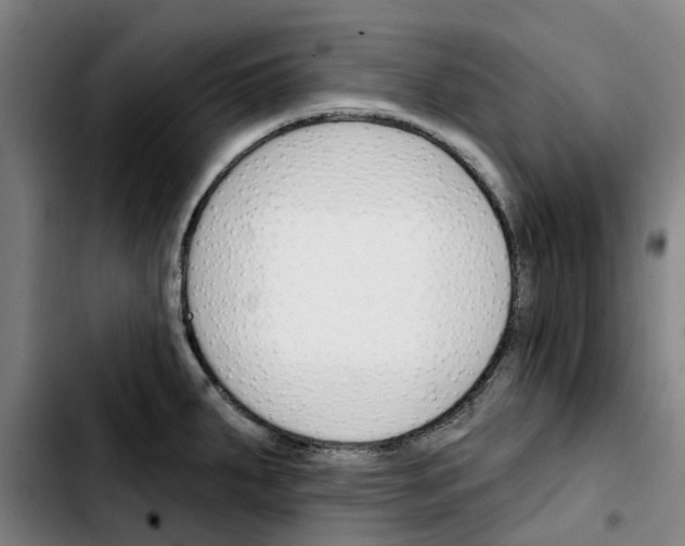 X0000103421287200810241025