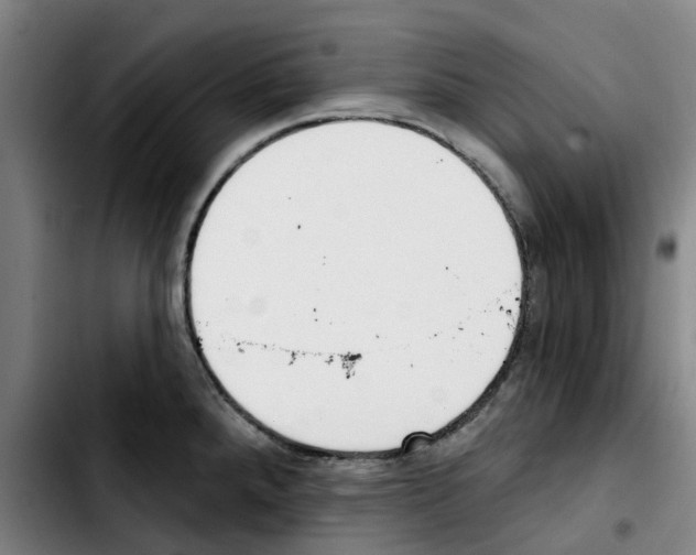 X0000103421288200810241025