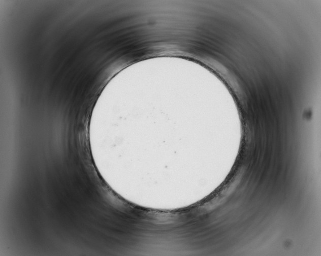 X0000103421289200810241025