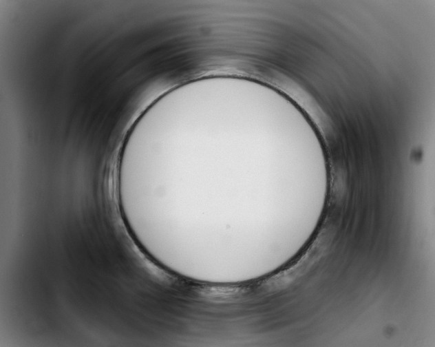 X0000103421290200810241025
