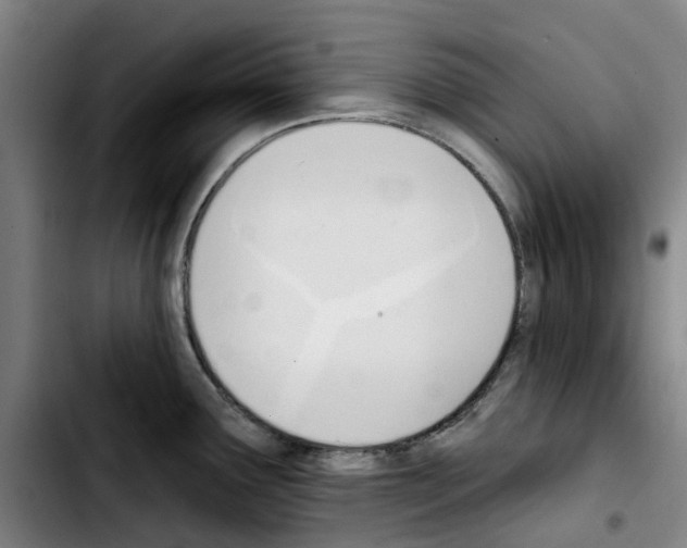 X0000103421291200810241025