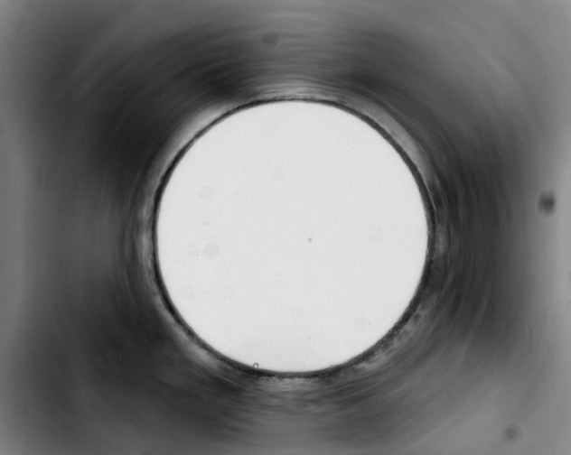 X0000103421293200810241025