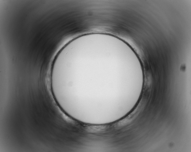 X0000103421294200810241025