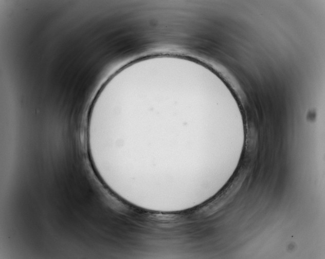 X0000103421295200810241025