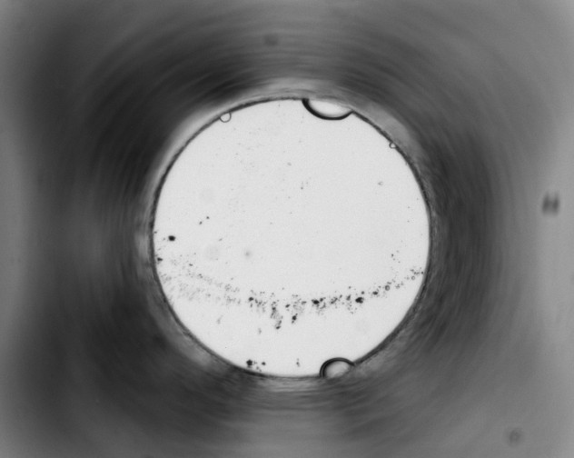 X0000103421296200810241025