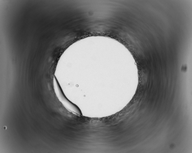 X0000103421297200810241025