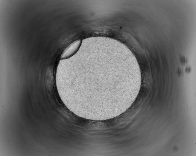 X0000103421298200810241025