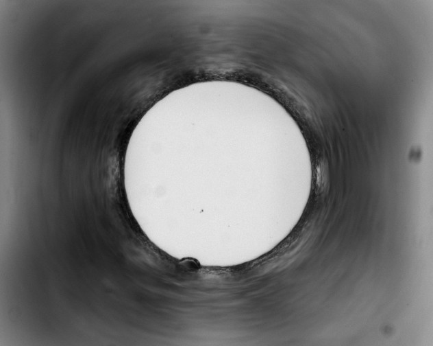 X0000103421299200810241025