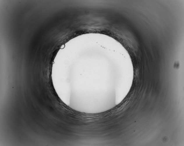 X0000103421300200810241025