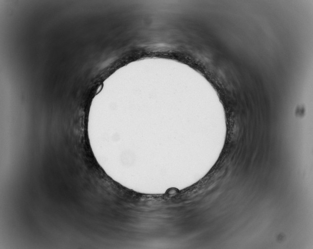 X0000103421301200810241025