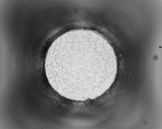 X0000103421302200810241025
