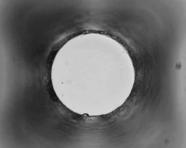 X0000103421303200810241025