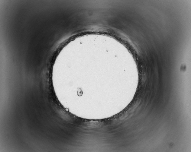 X0000103421304200810241025