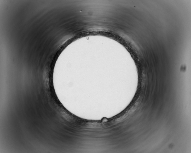 X0000103421305200810241025
