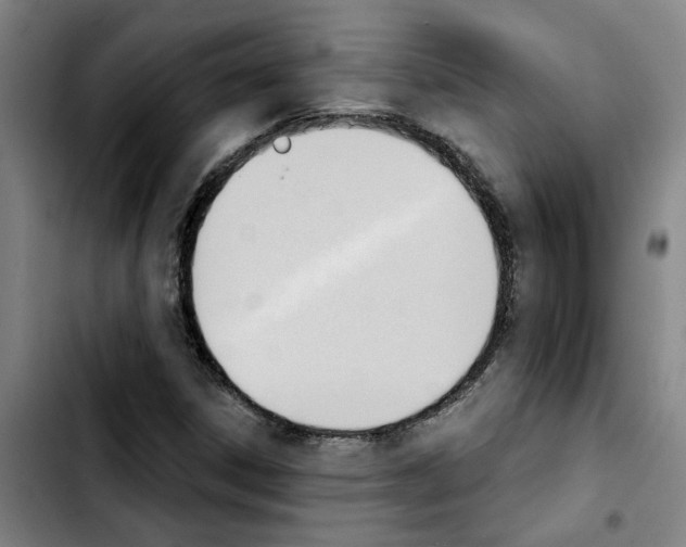 X0000103421306200810241025