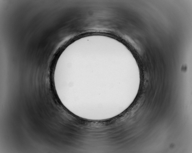 X0000103421307200810241025