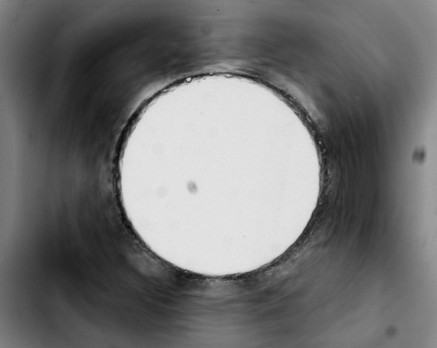 X0000103421308200810241025