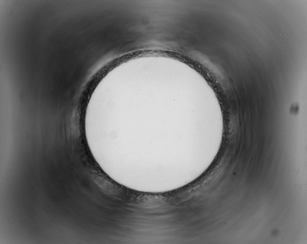 X0000103421310200810241025