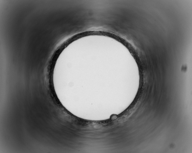 X0000103421311200810241025