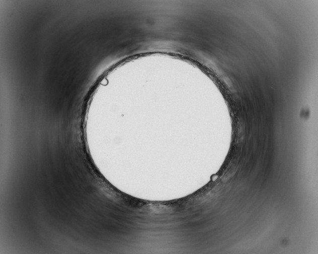 X0000103421312200810241025