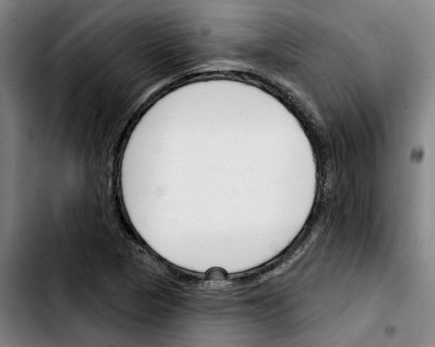 X0000103421313200810241025