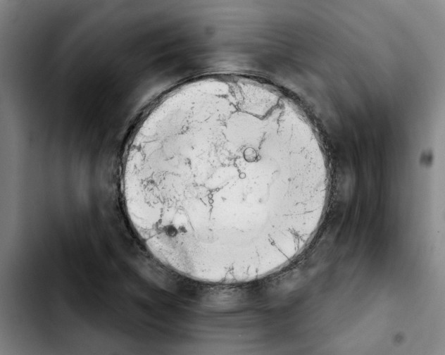 X0000103421314200810241025