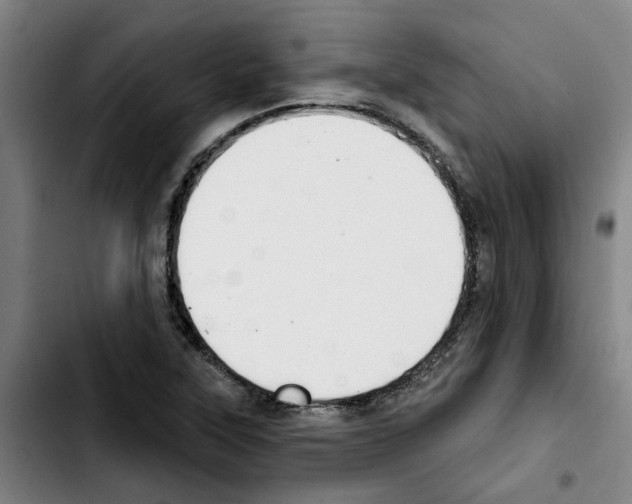 X0000103421315200810241025