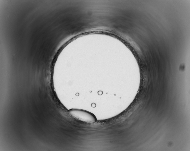 X0000103421316200810241025