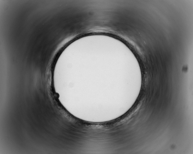 X0000103421317200810241025