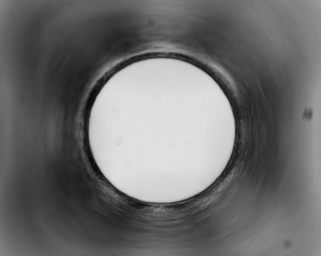 X0000103421318200810241025
