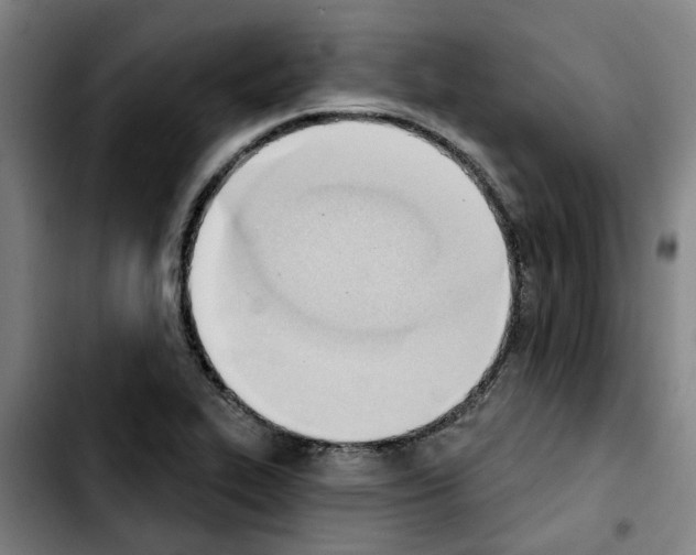 X0000103421319200810241025