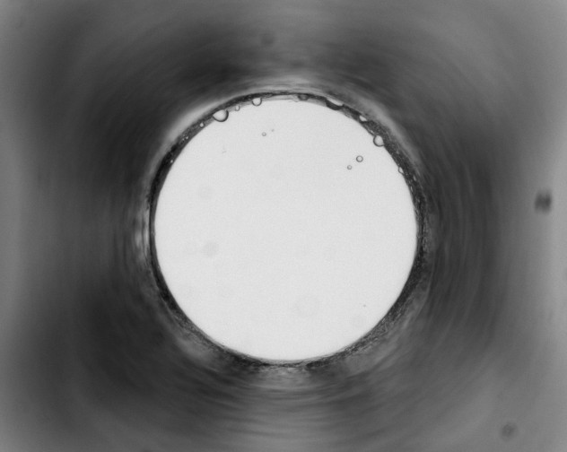 X0000103421320200810241025
