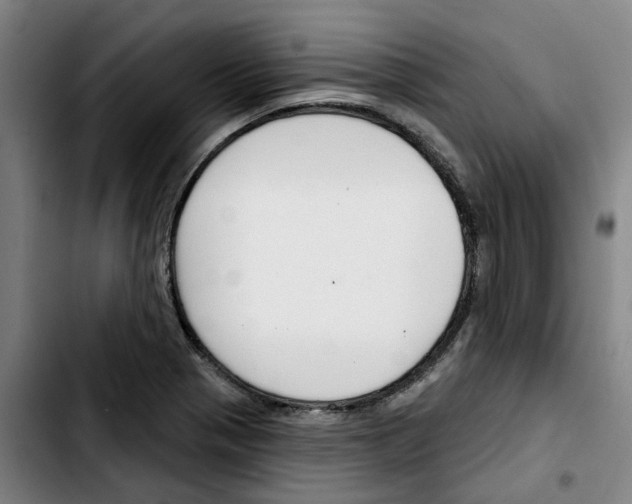 X0000103421321200810241025