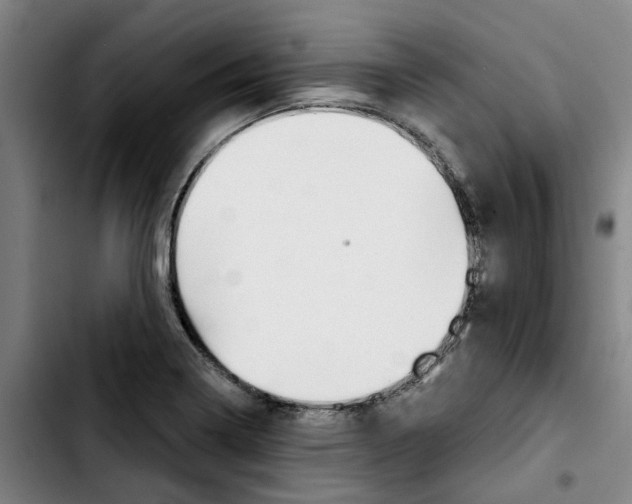 X0000103421322200810241025