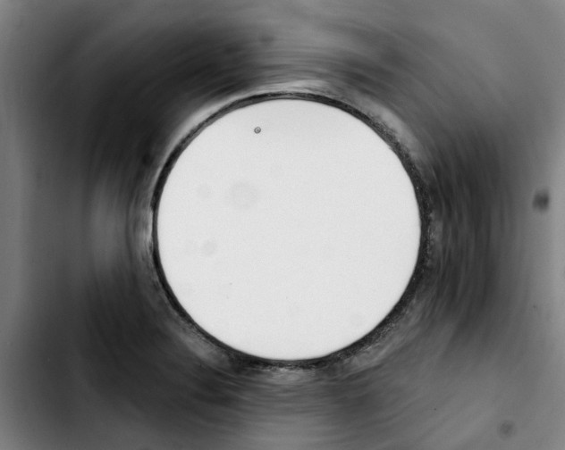 X0000103421324200810241025