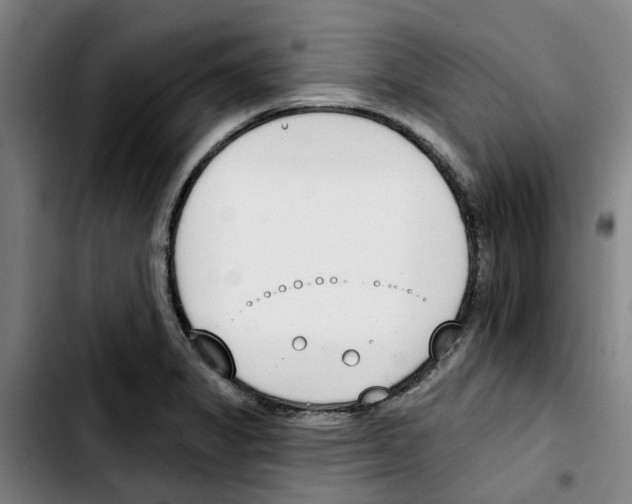 X0000103421325200810241025
