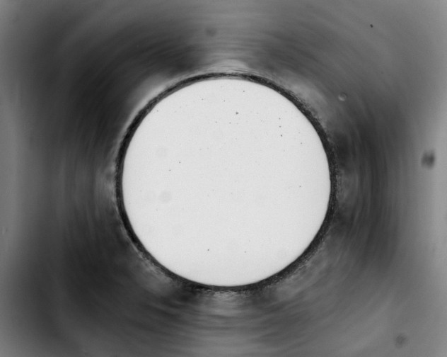 X0000103421326200810241025