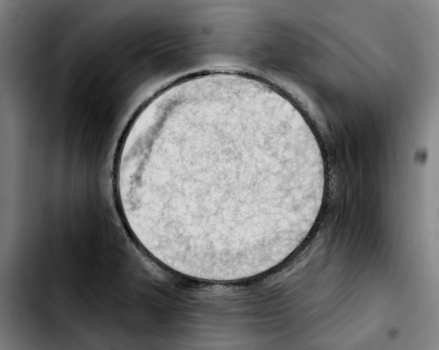 X0000103421327200810241025